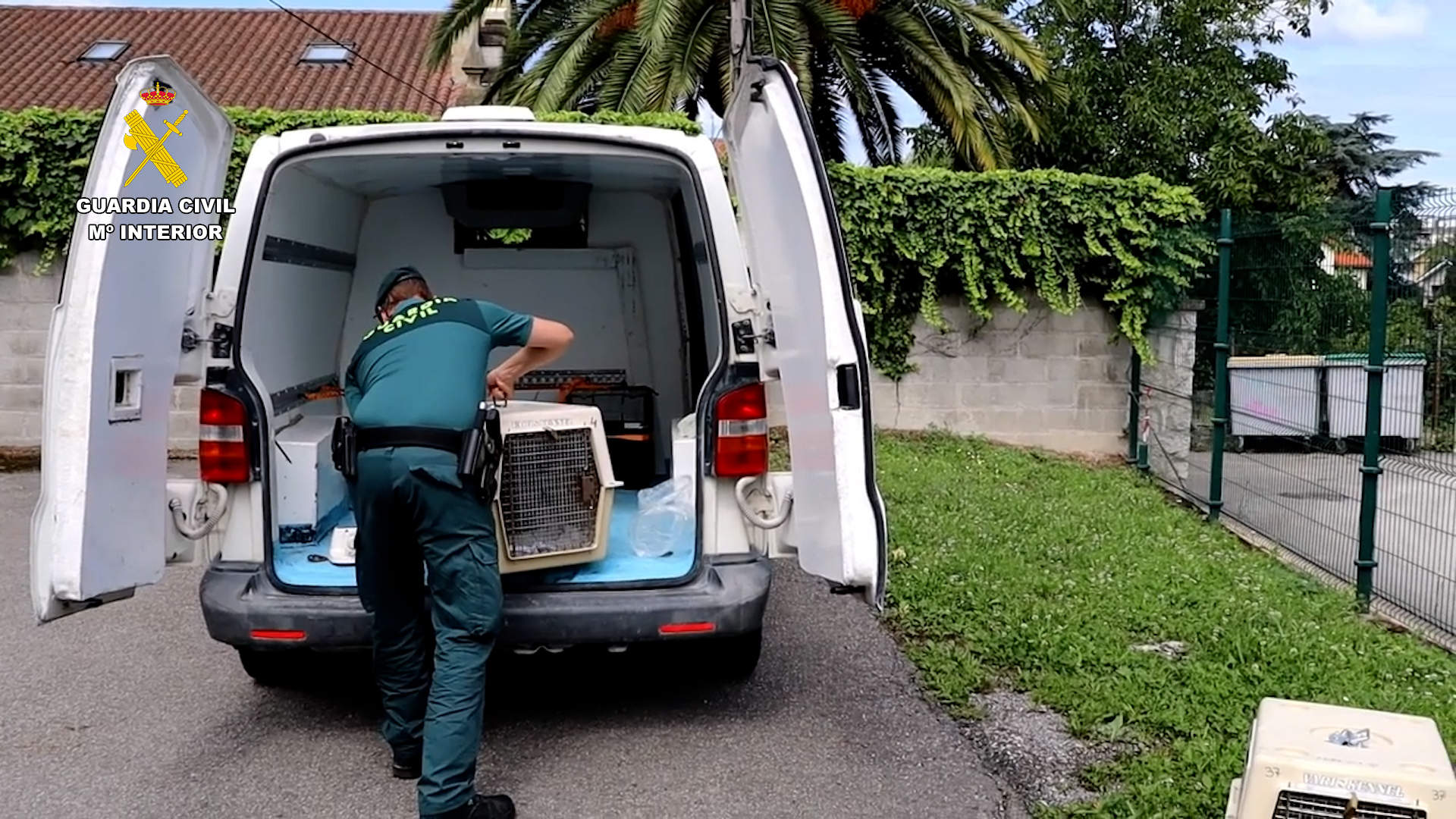 Tráfico de animales salvajes. Fotografía: Guardia Civil