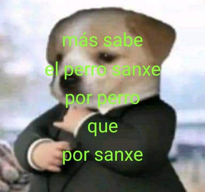 Memes 23-J (8)