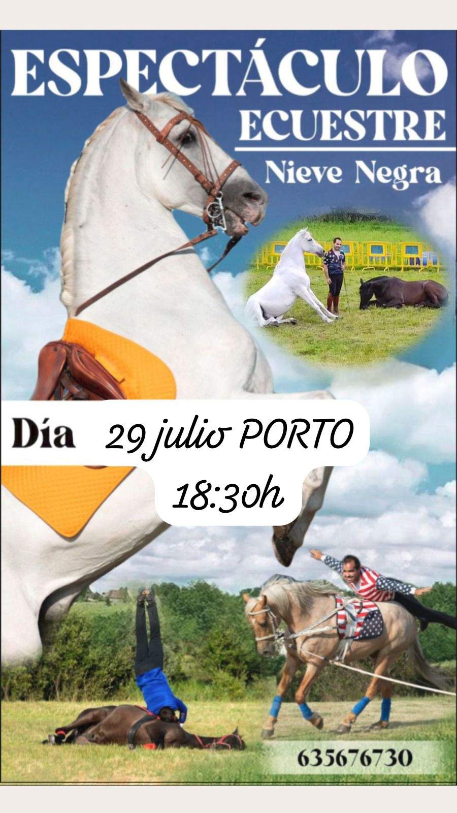 Cartel espectáculo ecuestre Porto