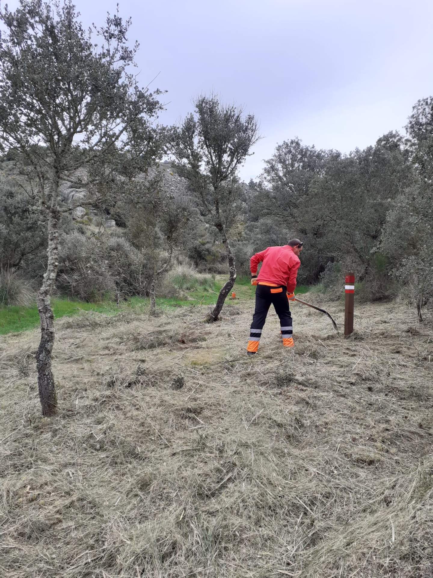 Limpiando el sendero