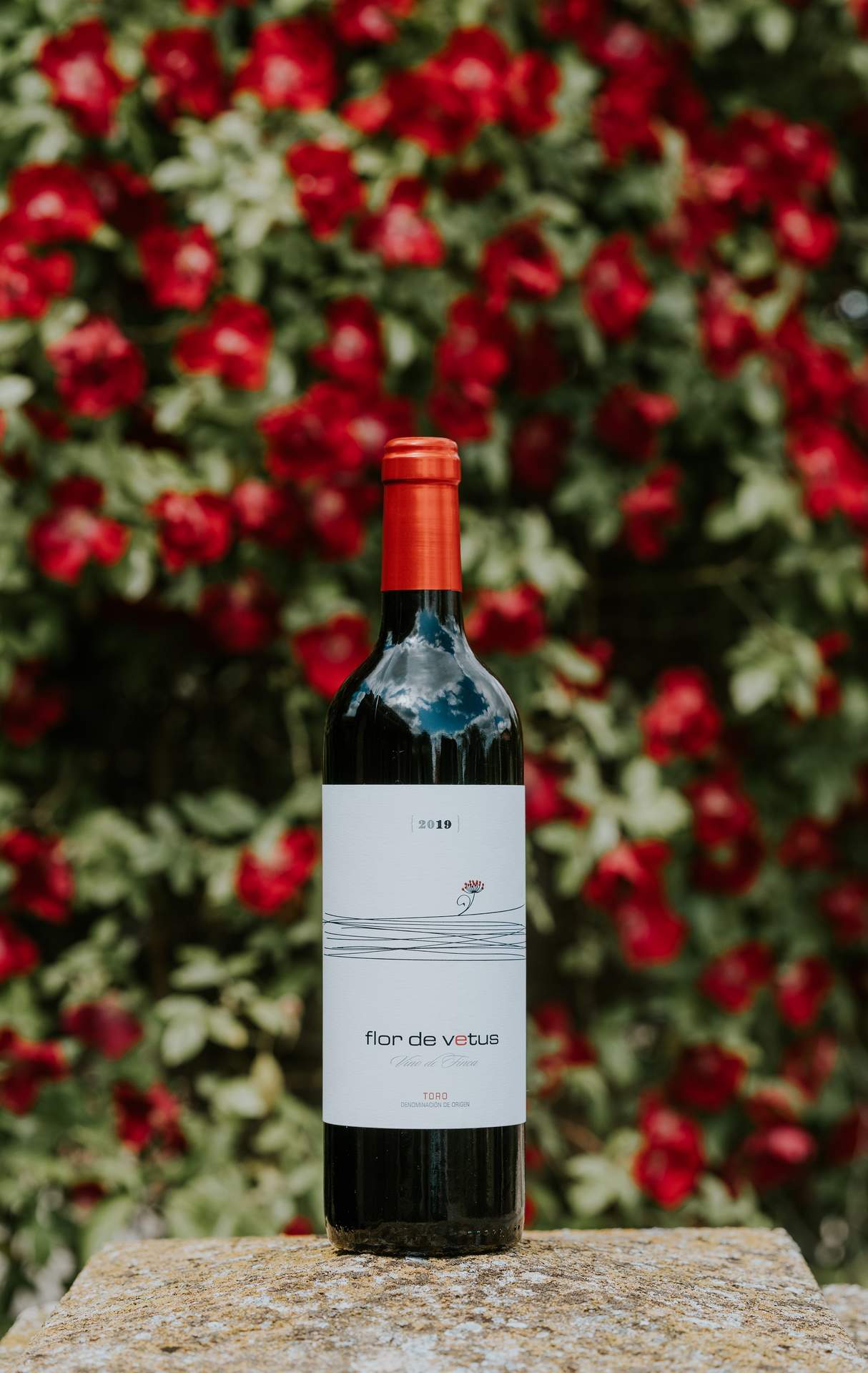 Flor de Vetus