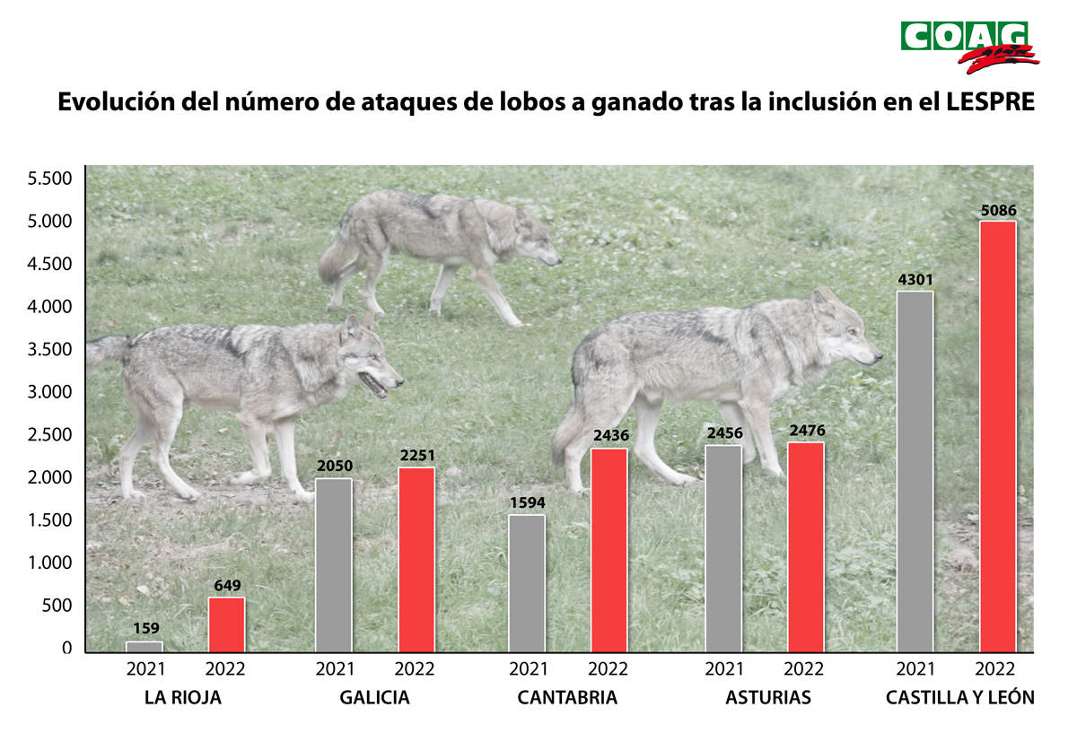 gráfico comparativo ataques lobo 2021 y 2022