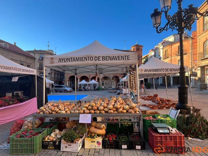 Feria del Pimiento de Benavente (17)