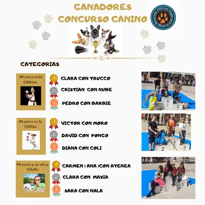 Ganadores concurso