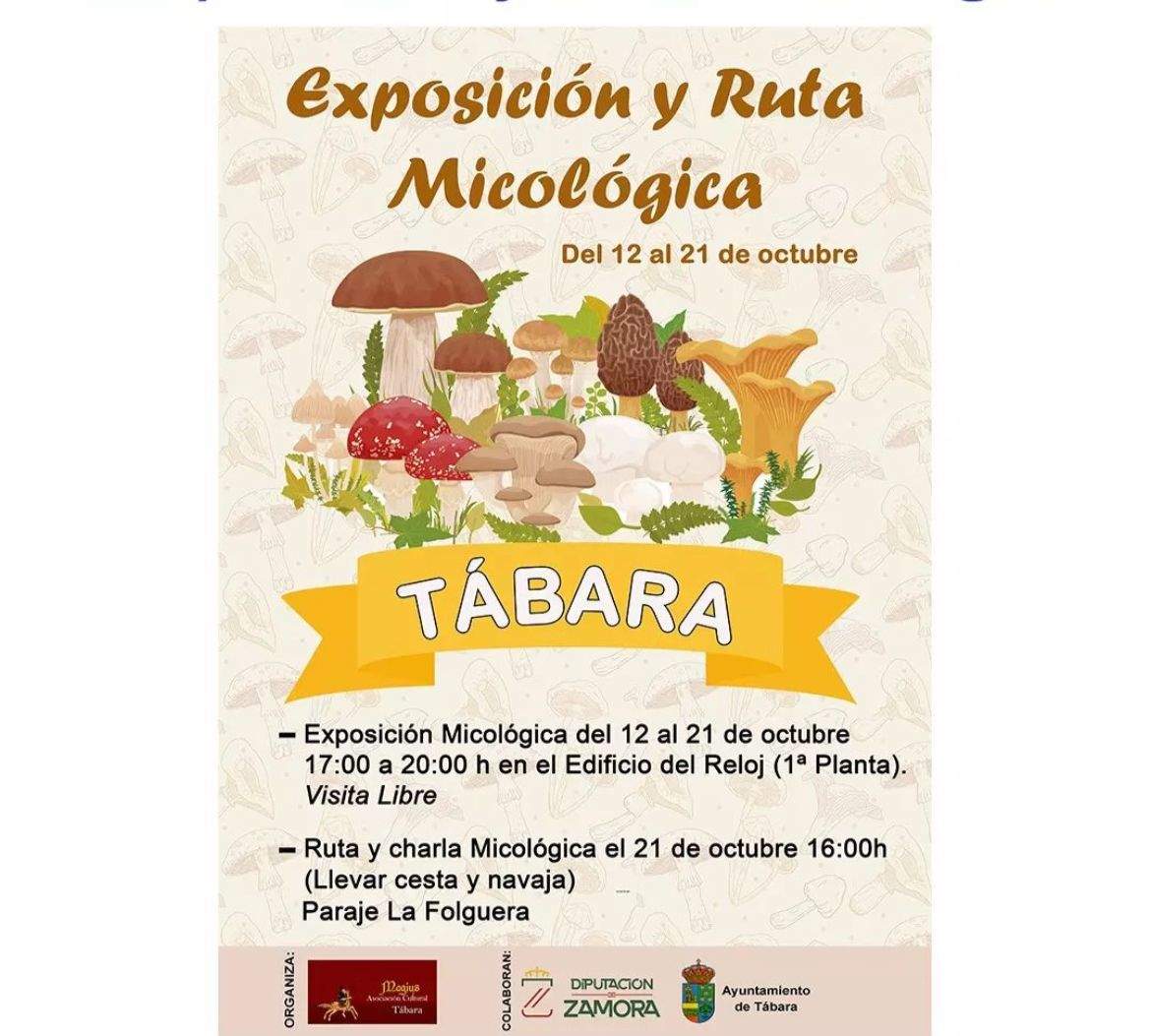 Exposición micológica de Tabara