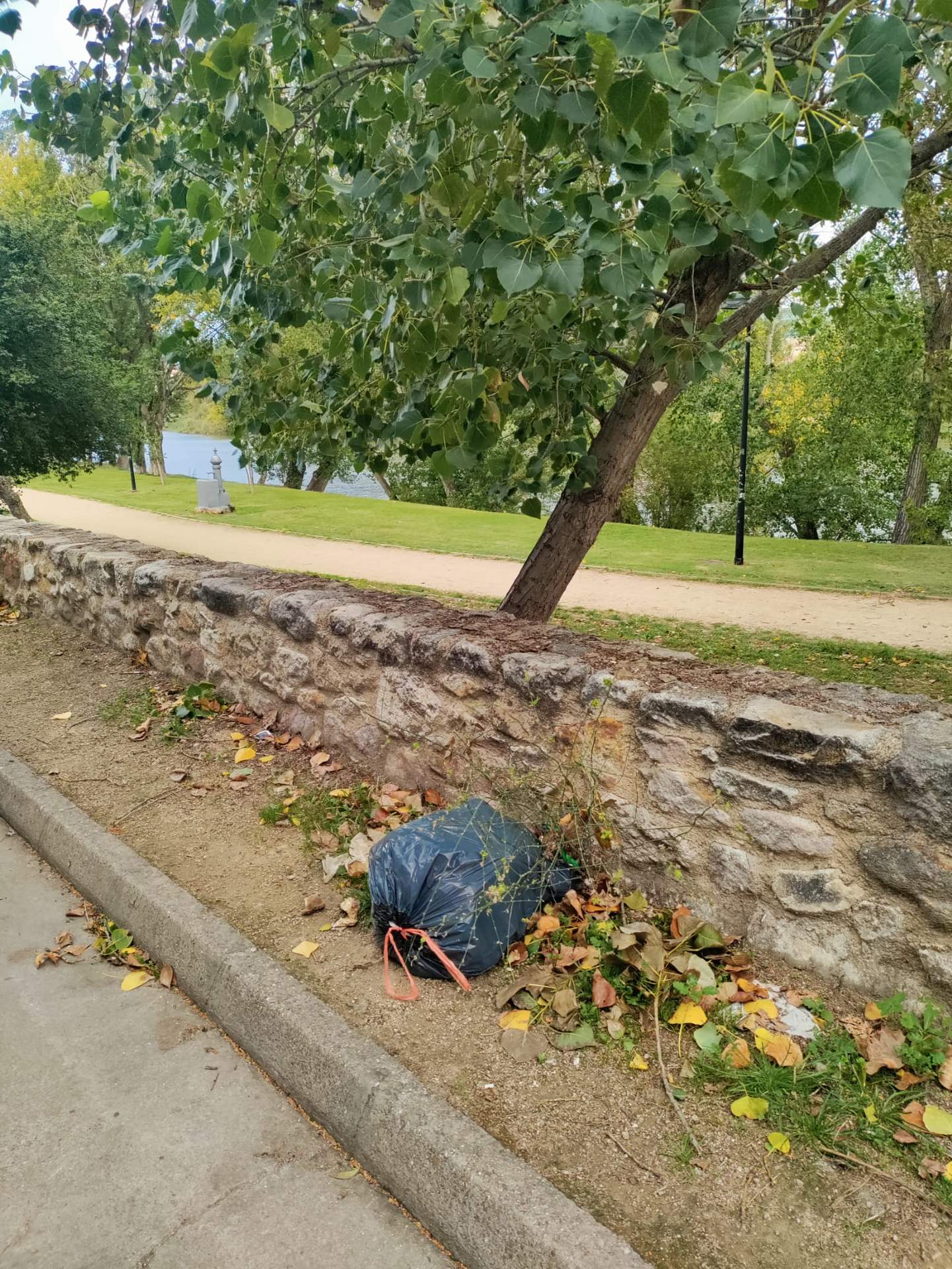 Basura entrepuentes (1)