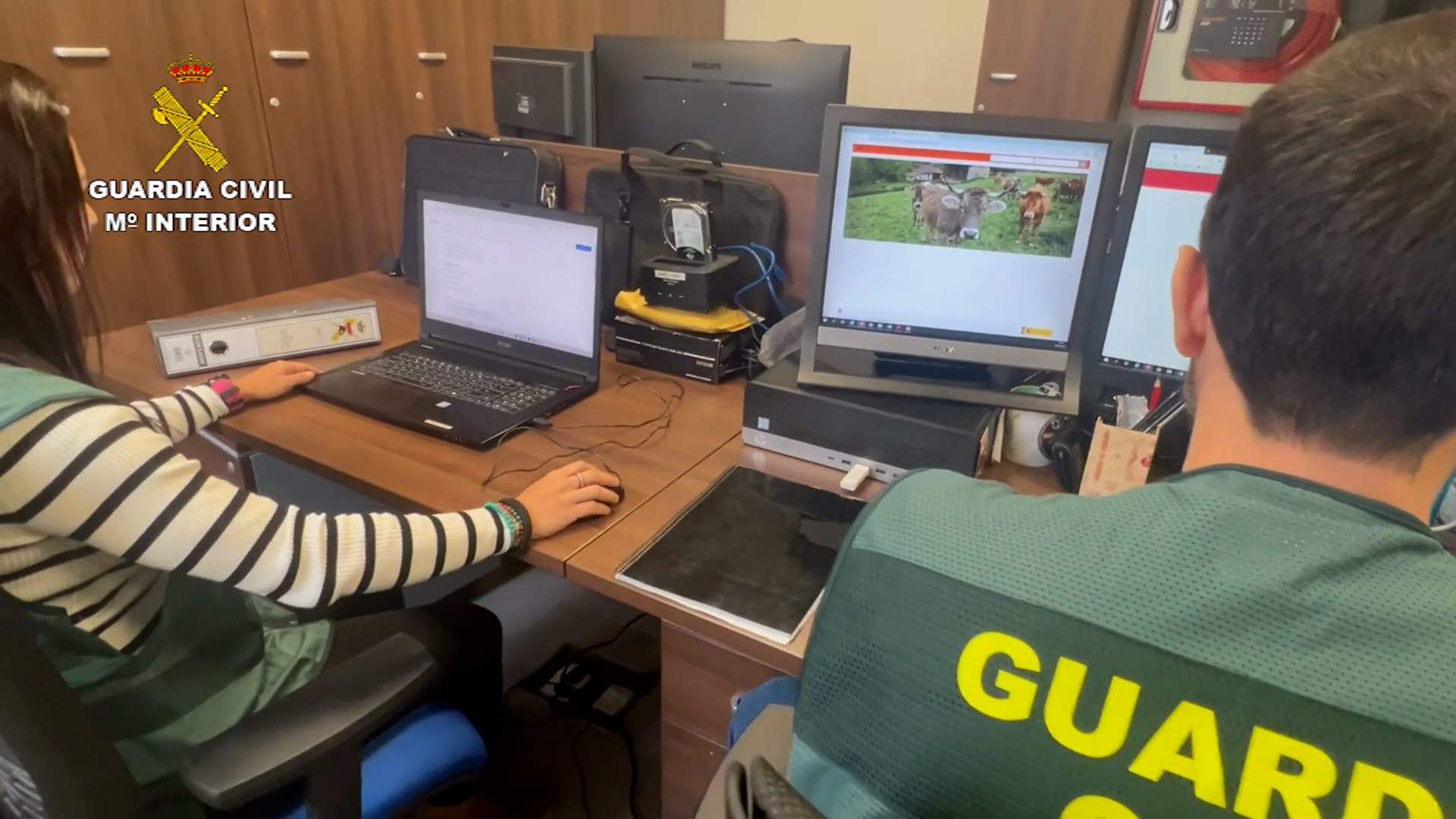 La Guardia Civil investiga unas ganaderías