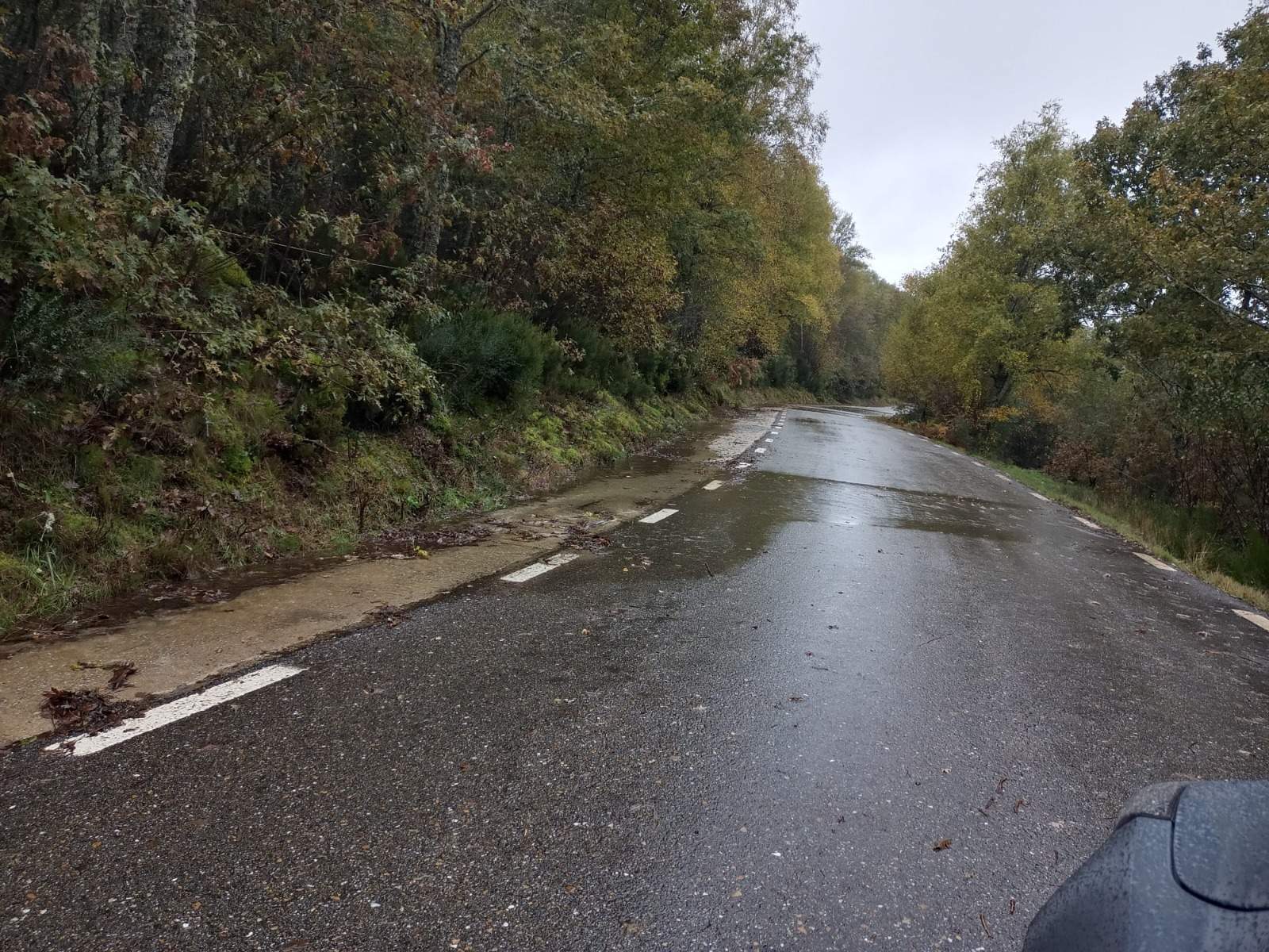 Efectos de las últimas lluvias sobre la carretera de Porto. Fotografía: PSOE Zamora