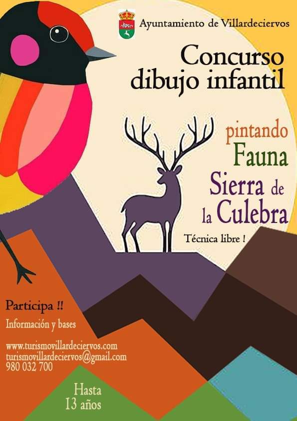 Concurso Villardeciervos