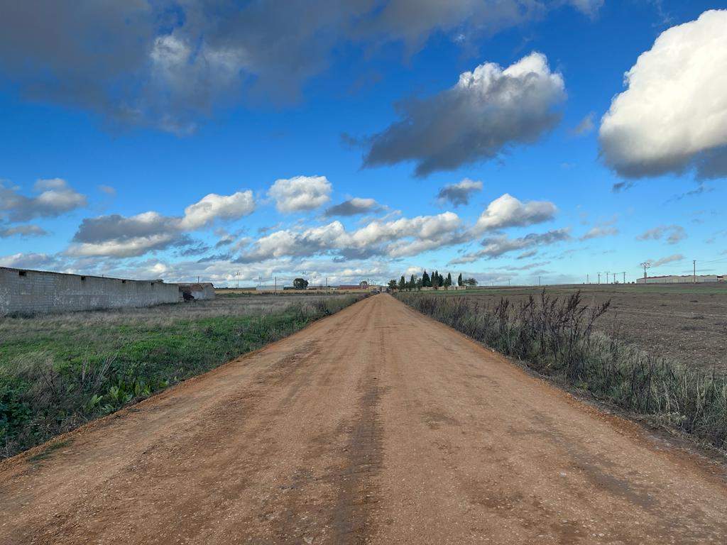 Mejoras en el camino hacia el Campo de Fútbol Municipal V Centenario de Toro (1)