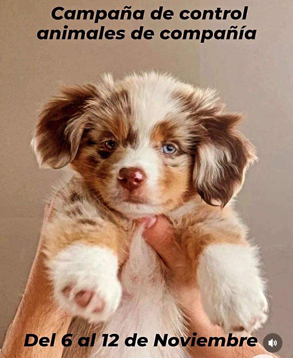 campaña control de animales de compaía