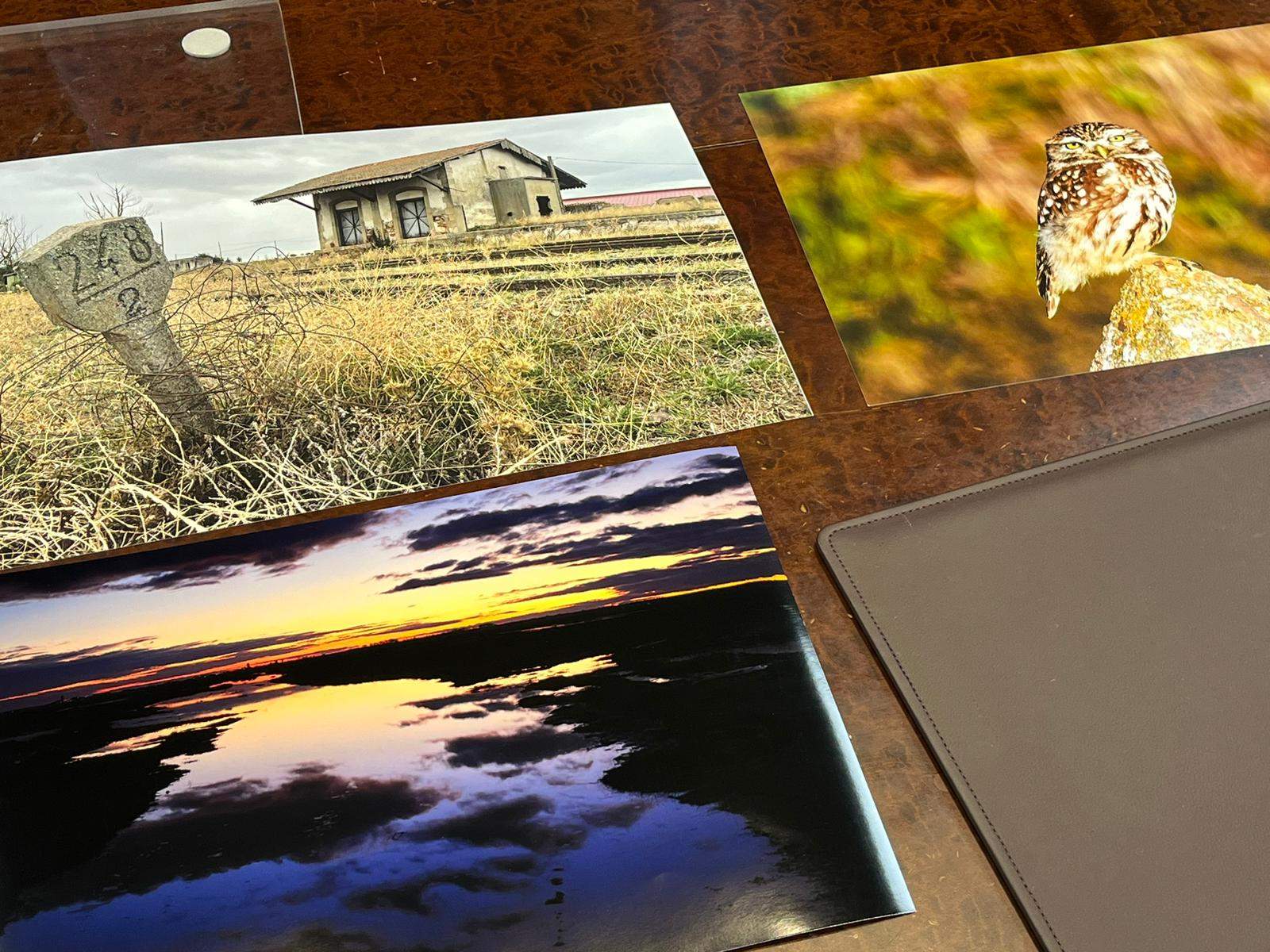Presentación concurso de fotografía “Espigas”