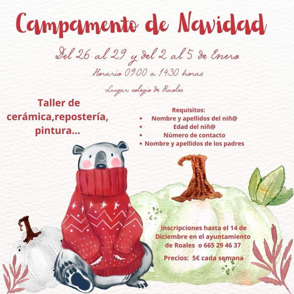 campamento navideño Roales