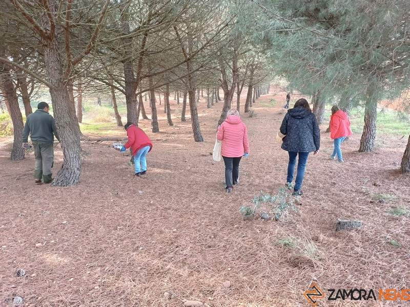 Granja de Moreruela se va de setas (3)