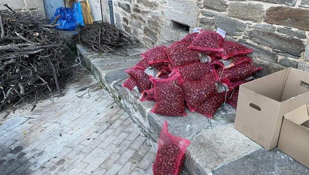 castañas de Puebla de Sanabria