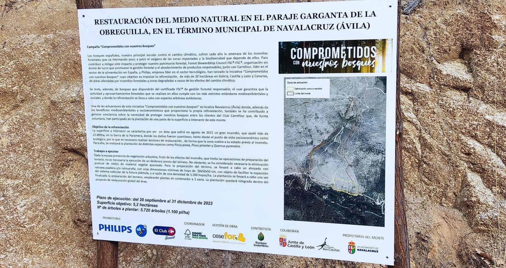Foto de recurso del arranque del proyecto de regeneración forestal en Navalacruz (Ávila)