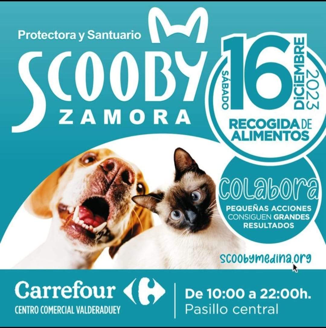Scooby