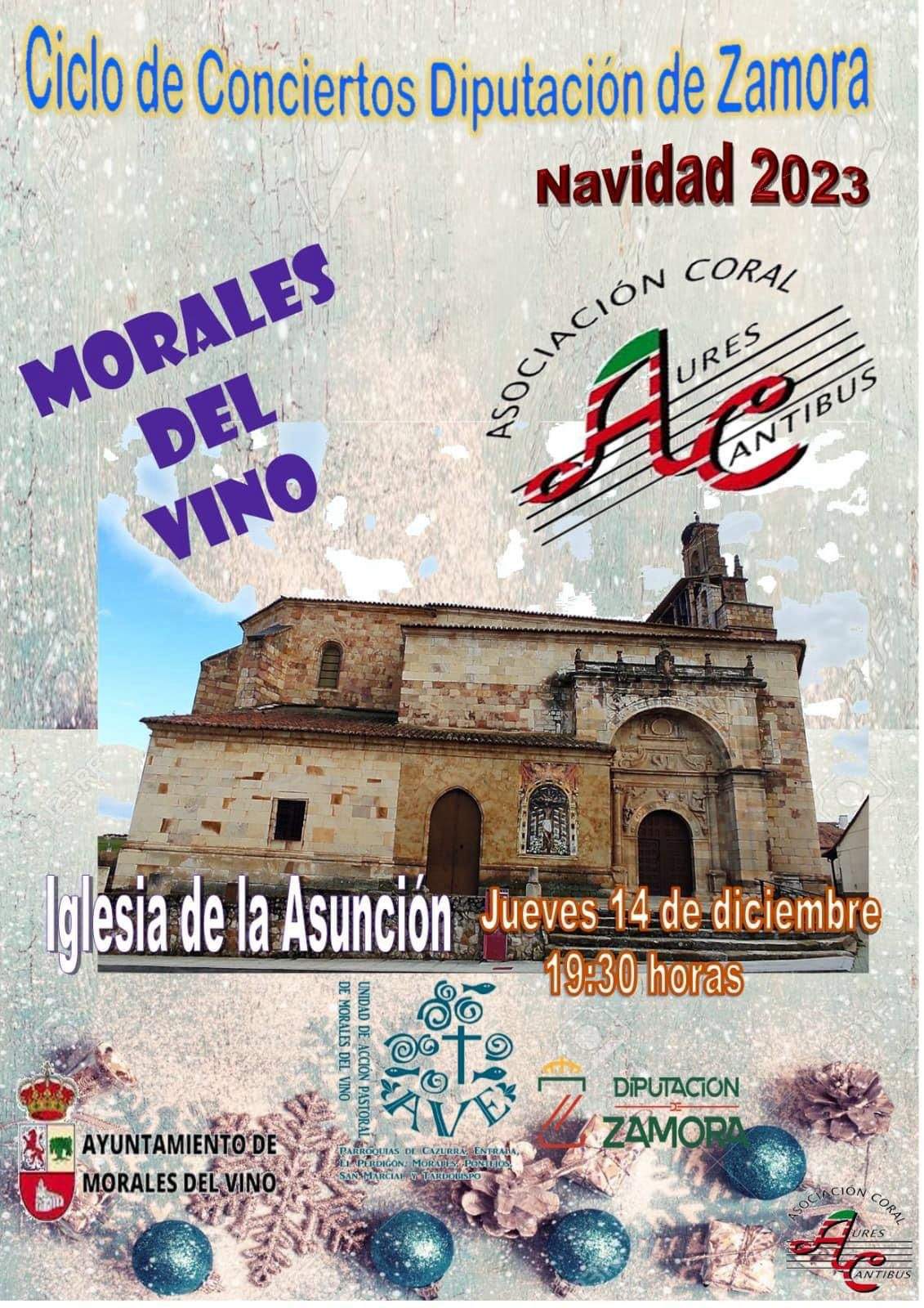 concierto de villancicos en Morales del Vino