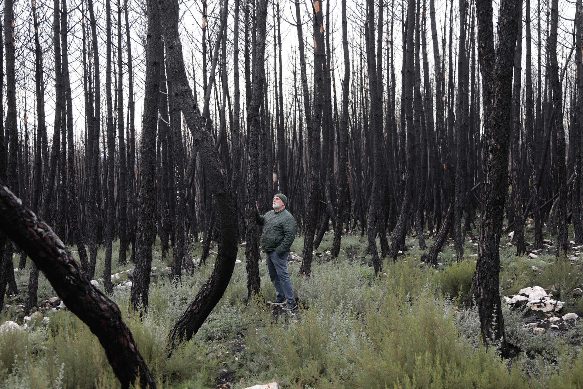 Fotografía del Chef en el bosque quemado