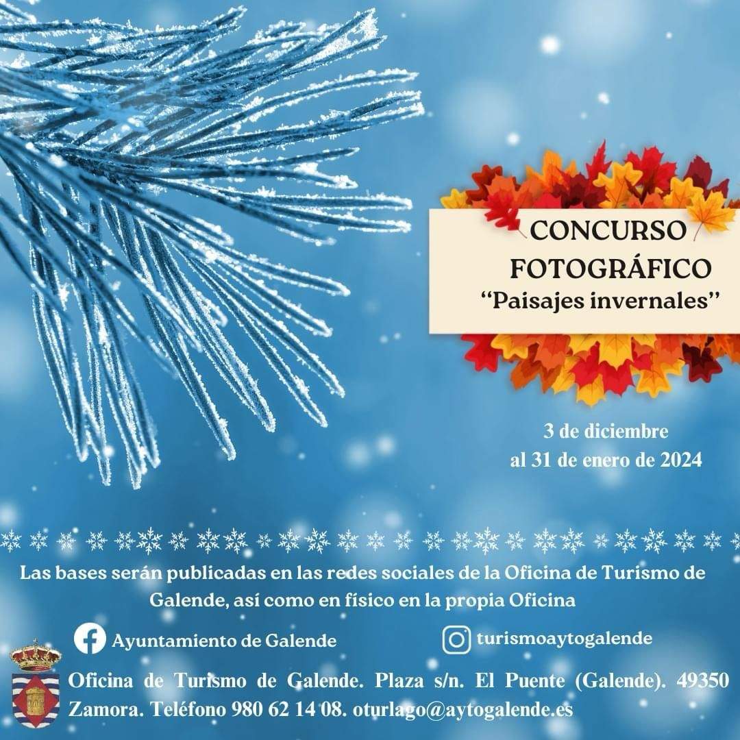 Concurso invernal en Galende