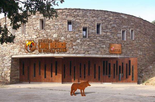 El Centro del Lobo en Robledo en Puebla de Sanabria