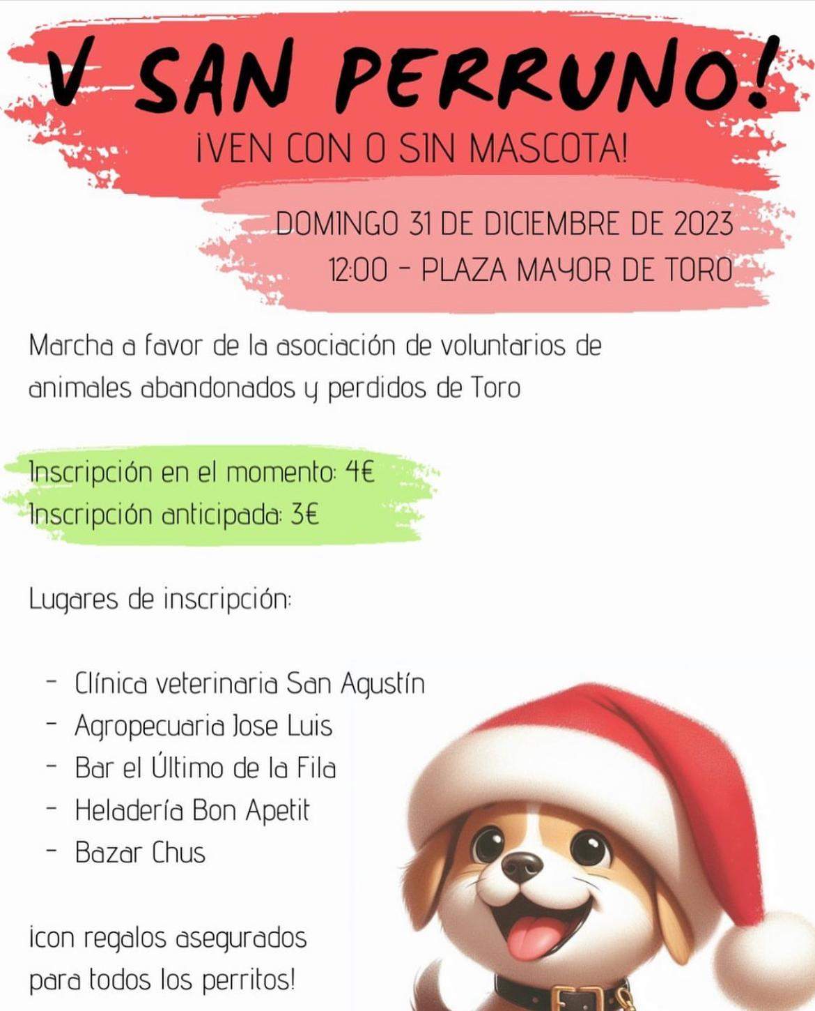 Cartel marcha San Perruno