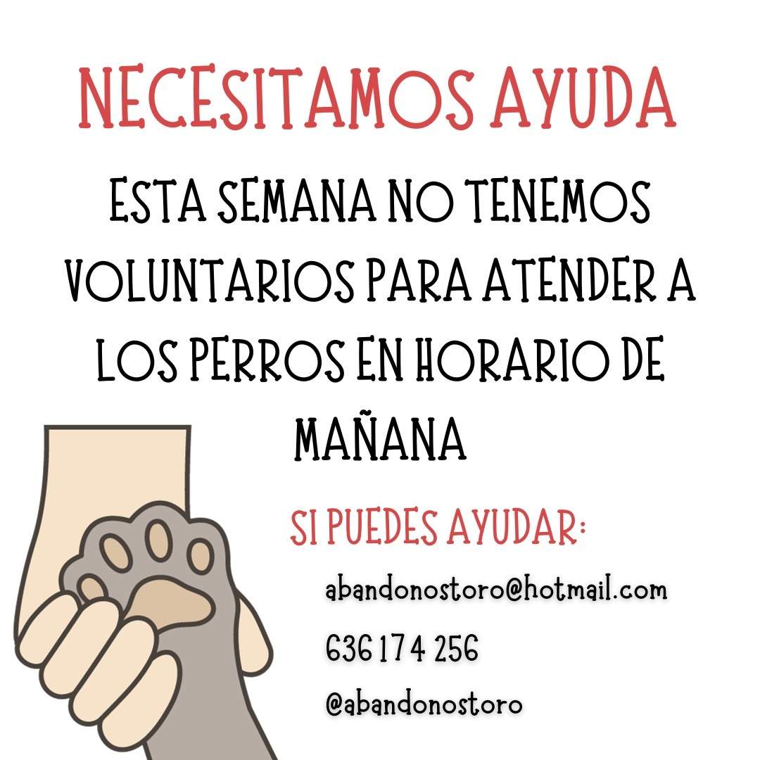 Búsqueda de voluntarios