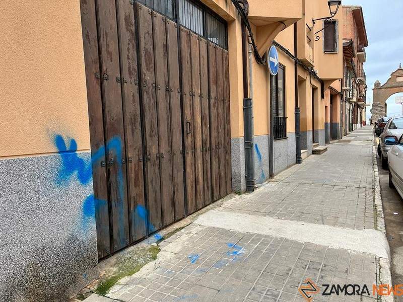 pintadas en Toro _2