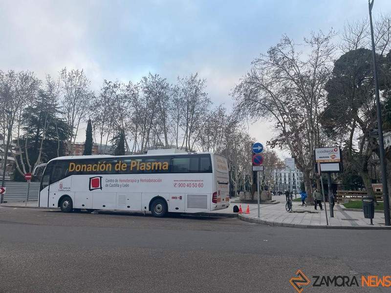 plasmabus_2