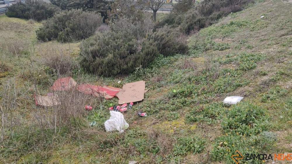 restos basura autovía_tn