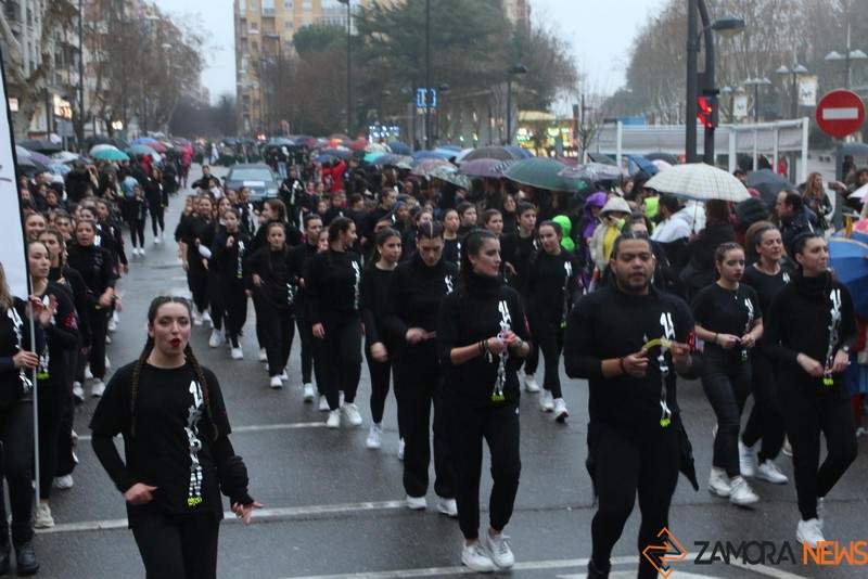 Primer desfile de Carnaval en Zamora (16)