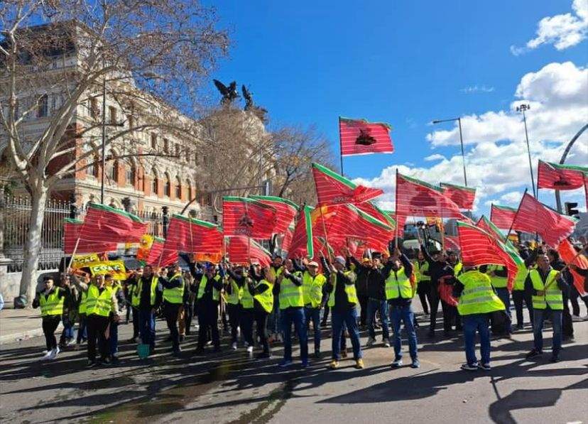 Manifestación 26 F Madrid. IMAGEN cecida