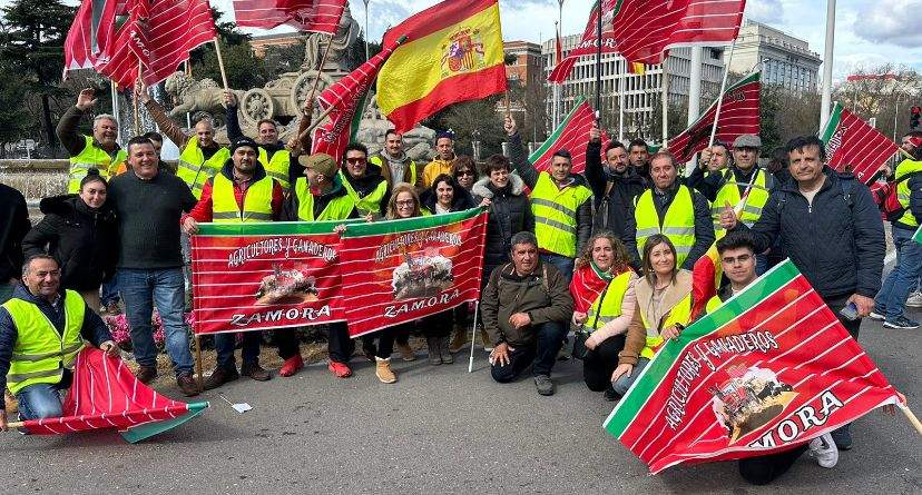 Manifestación 26 F Madrid. IMAGEN cecida