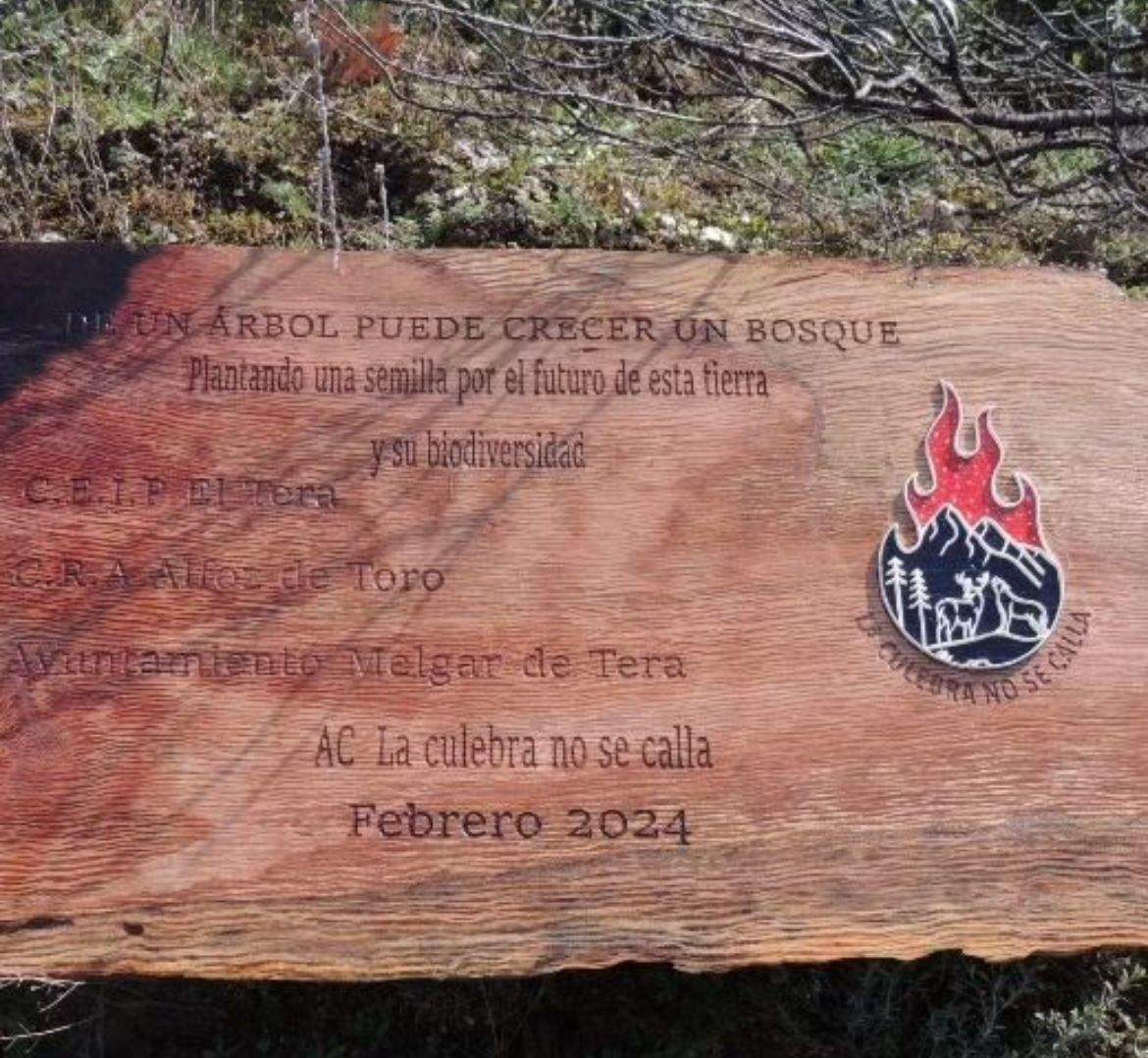 Alumnos del CEIP El Tera de Camarzana de Tera contribuyen a la reforestación en la Sierra de la Culebra