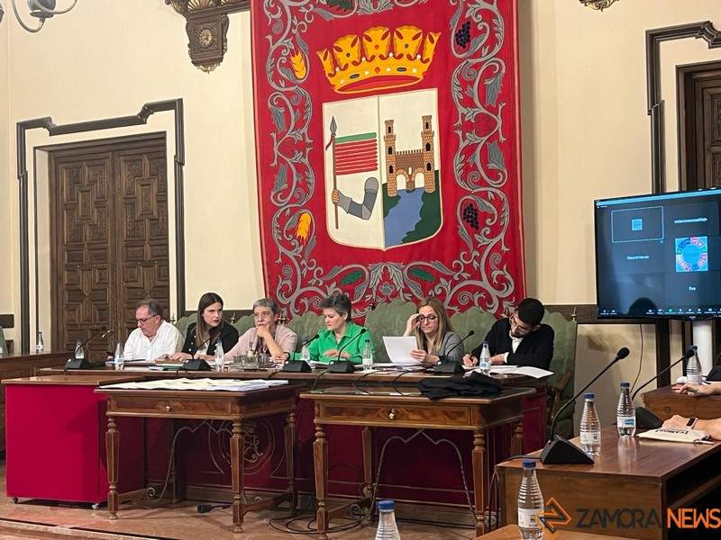 El Alcalde de Zamora recibe a los miembros de los Colegios Oficiales de Trabajo Social