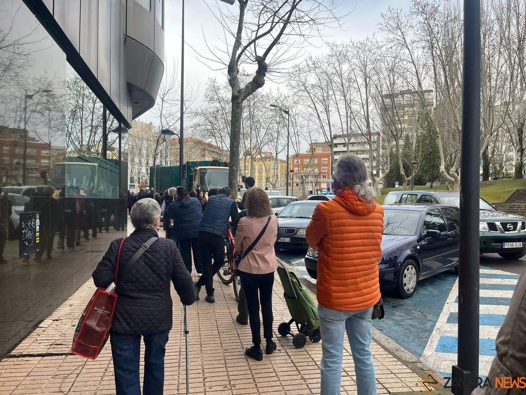 Día del árbol. Delegación 1