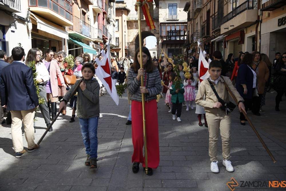 domingo de ramos toro (18)_tn