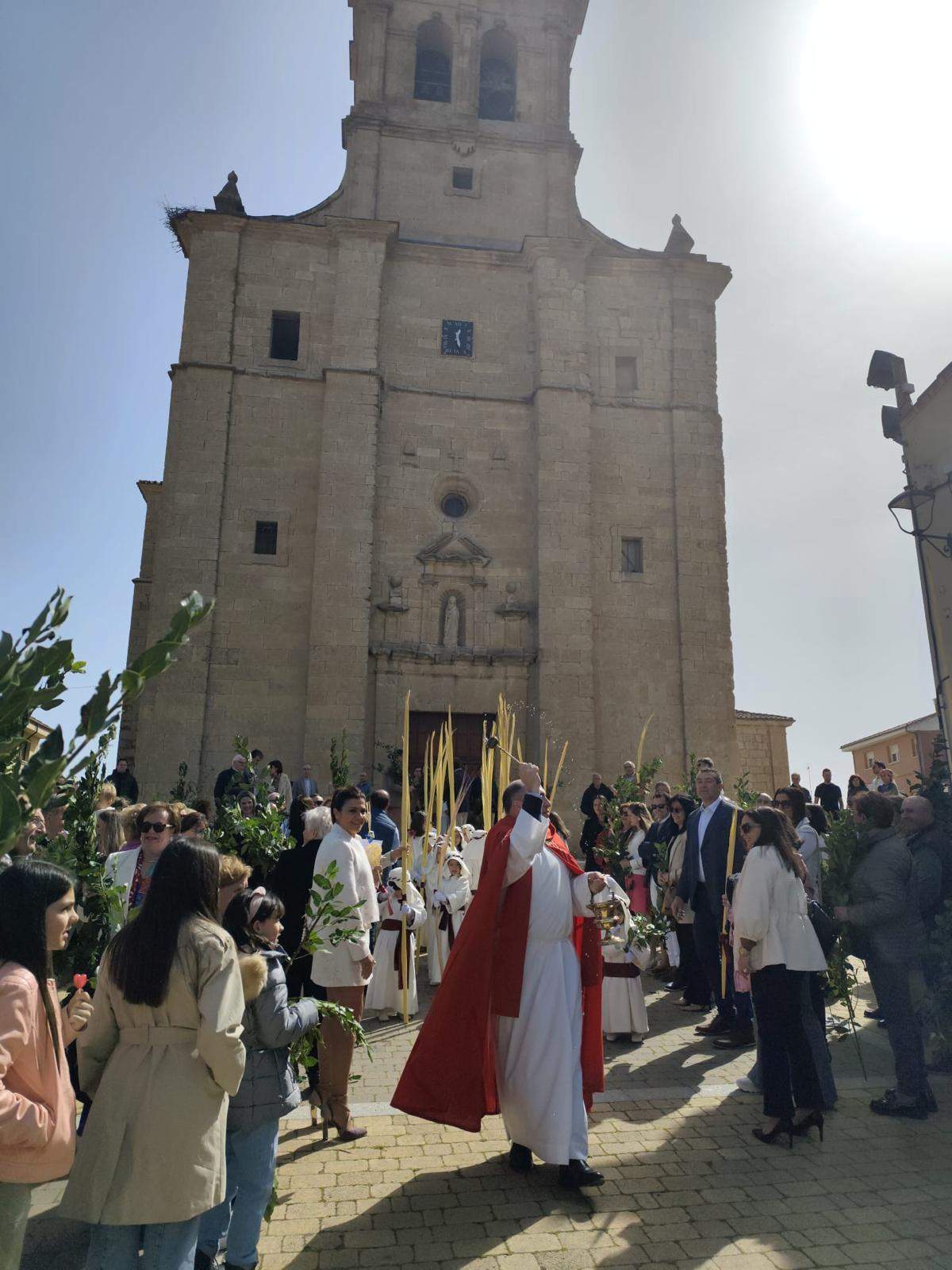Domingo de Ramos en Fuentesaúco