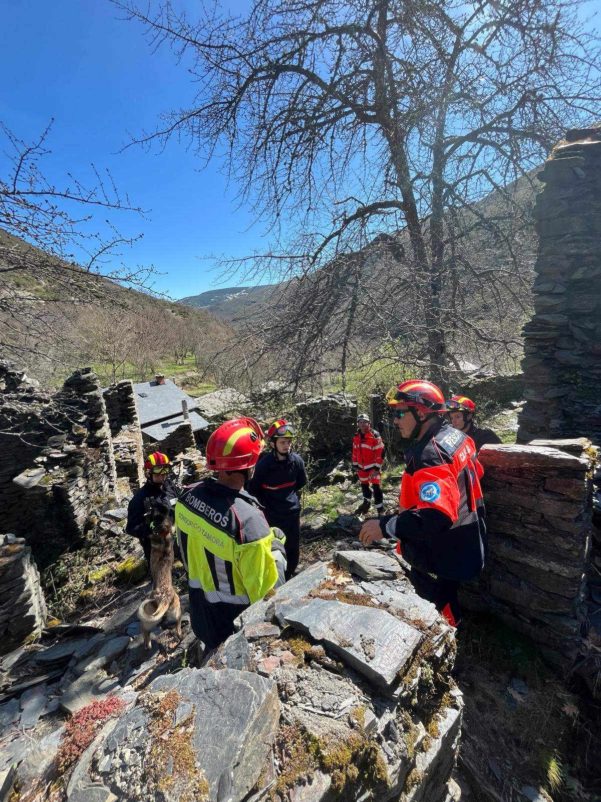 Bomberos de Zamora y Ferrol