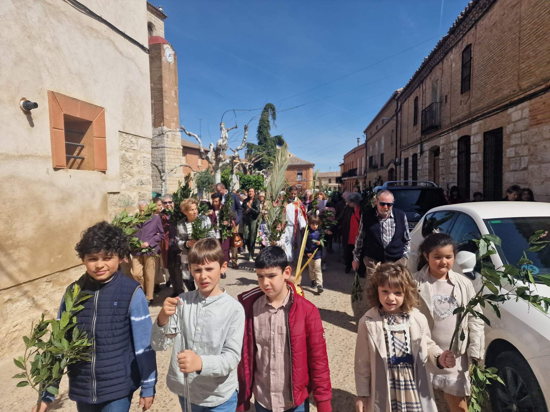 Morales de Toro. Domingo de Ramos, Imagen Diócesis