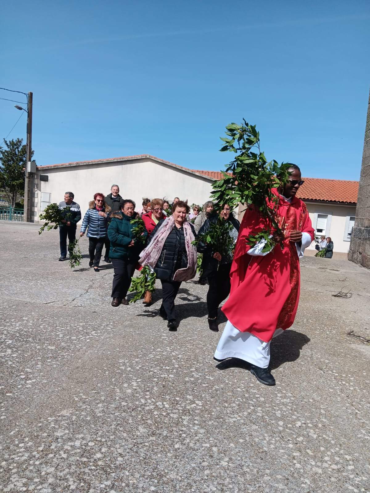 Roelos de Sayago. Domingo de Ramos, Imagen Diócesis