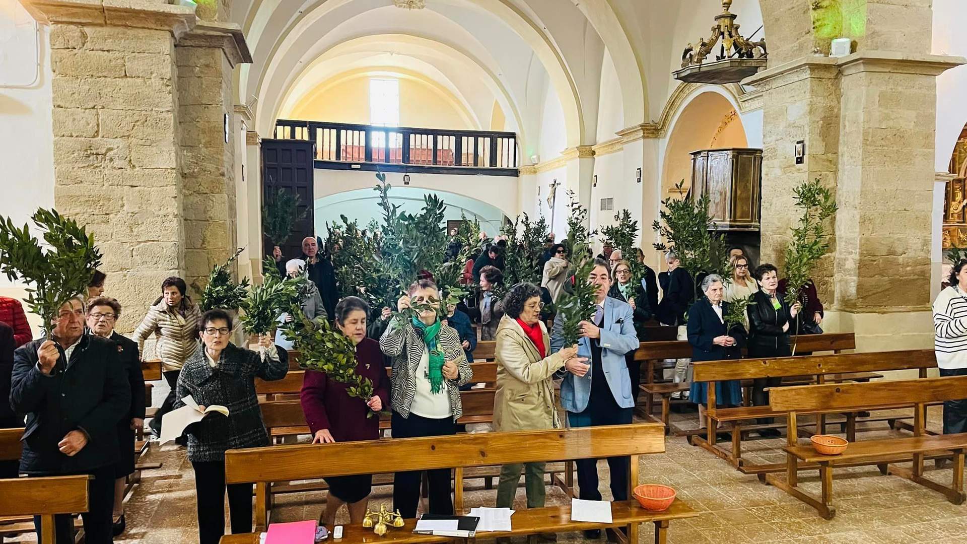 Matilla de Arzón. Domingo de Ramos, Imagen Diócesis