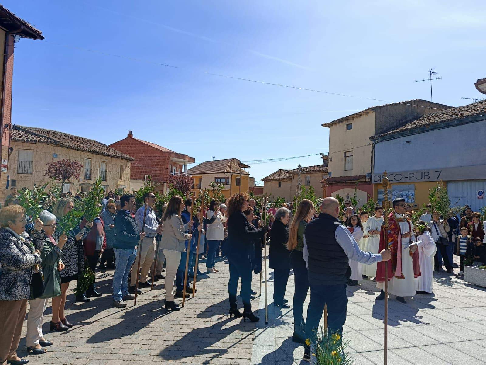 San Cristóbal de Entreviñas. Domingo de Ramos, Imagen Diócesis