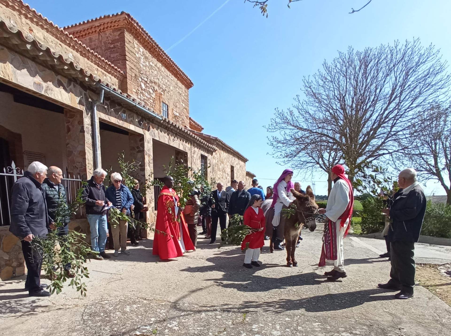 Riego del Camino. Domingo de Ramos, Imagen Diócesis