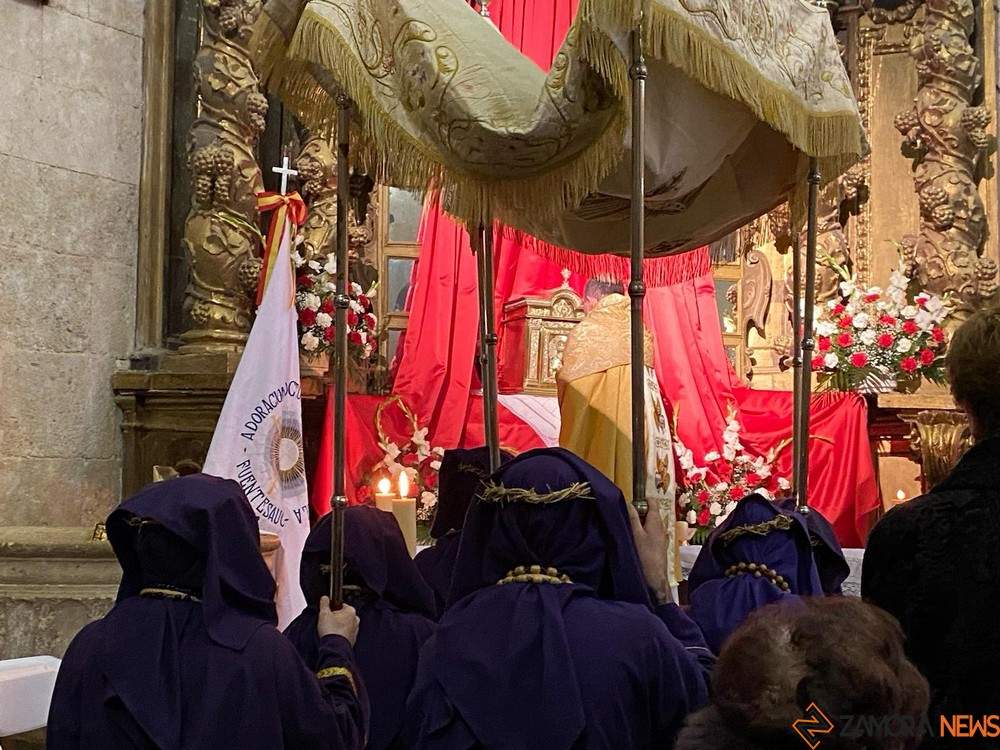 pasion9_tn