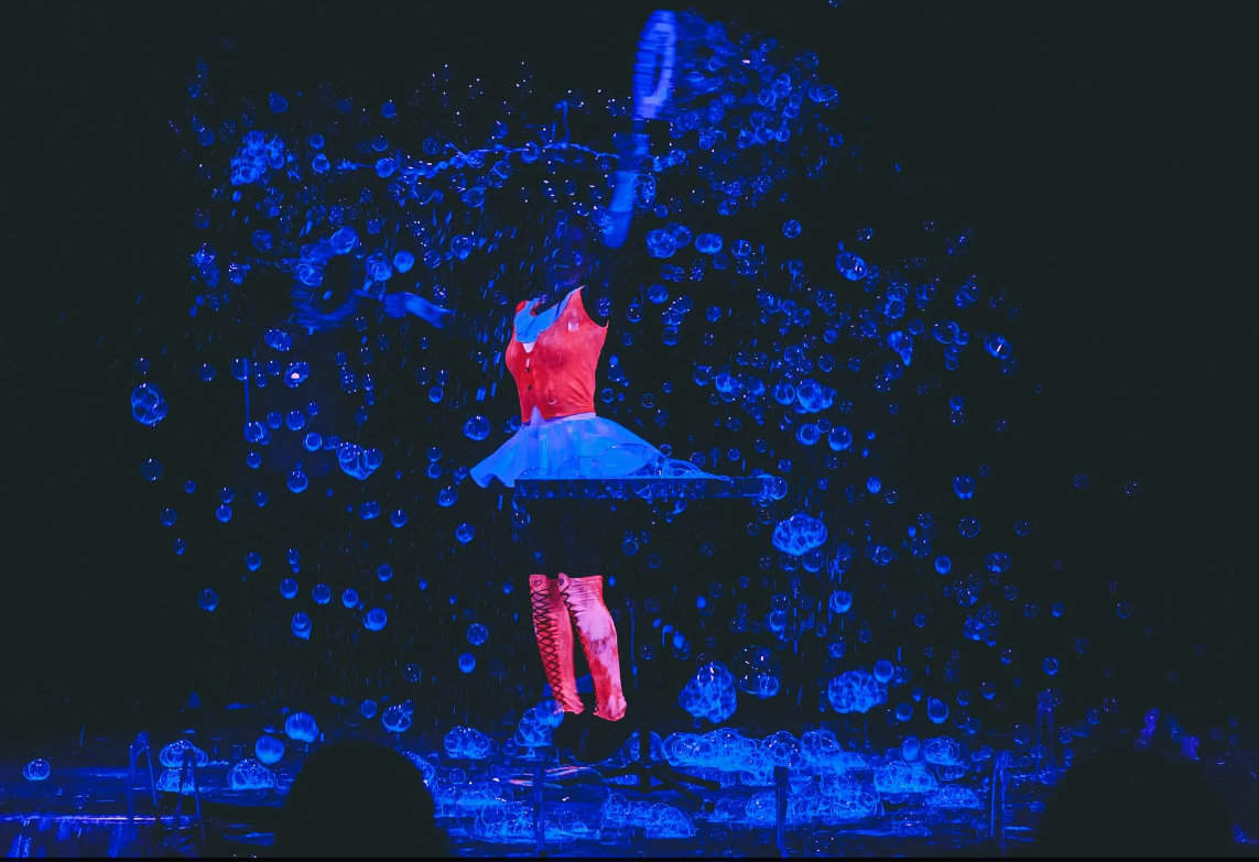 Circo Bravo