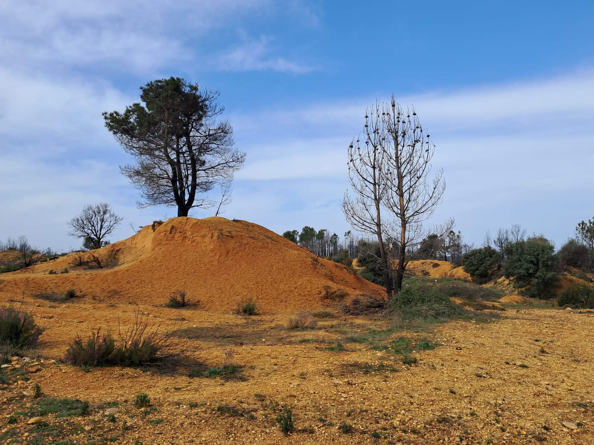 ubicación de la posible Planta de biometano en en el valle de El Tera