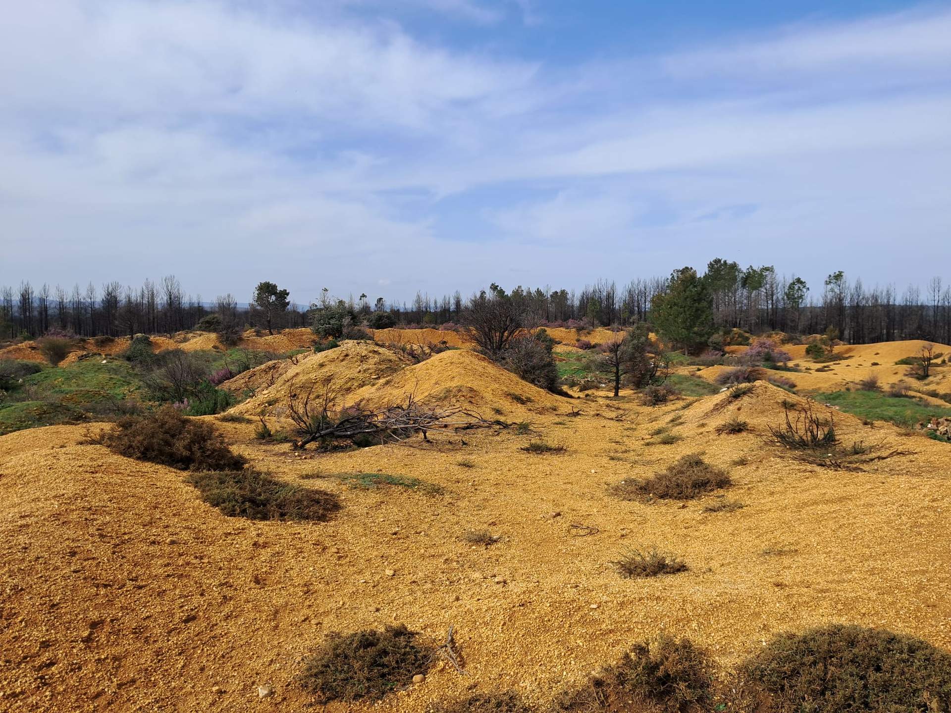 ubicación de la posible Planta de biometano en en el valle de El Tera