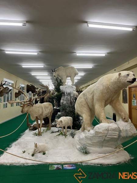 exposición fauna salvaje en Santibáñez de Vidriales _2