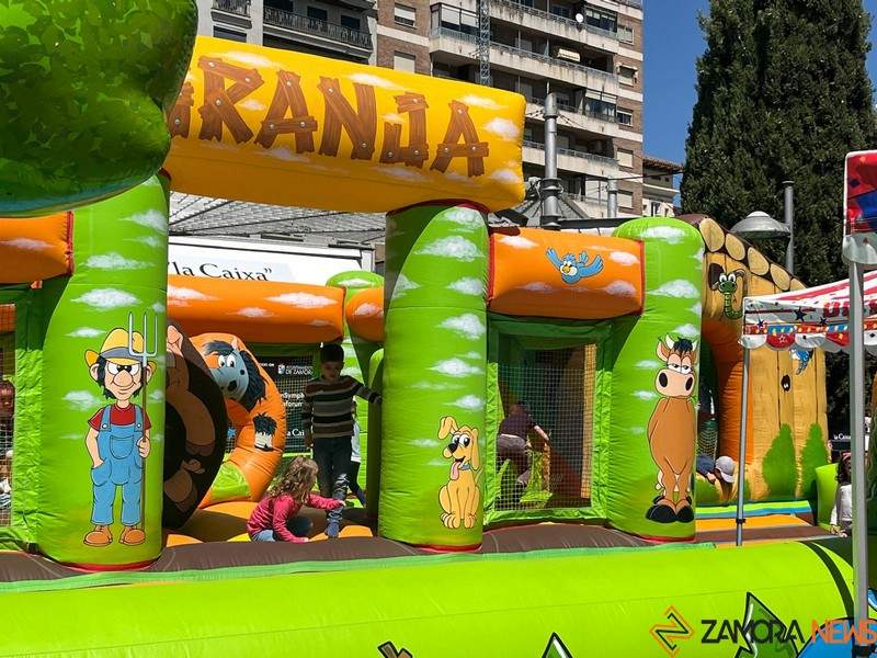 Actividades día de CyL en Zamora _7